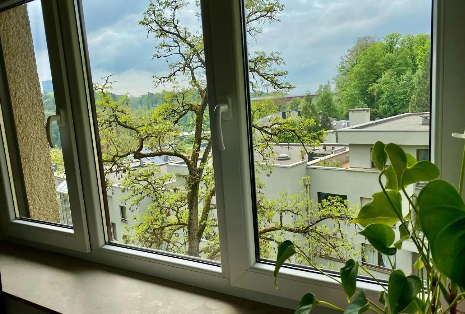 Rue Des Glacis Limpertsberg Hotel Luxemburg